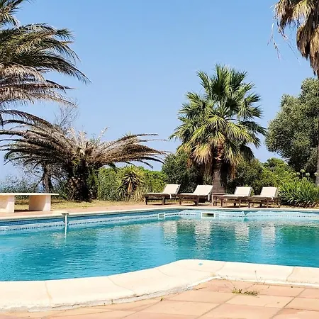 Apartment Sea View With Pool In Argeles-sur-Mer