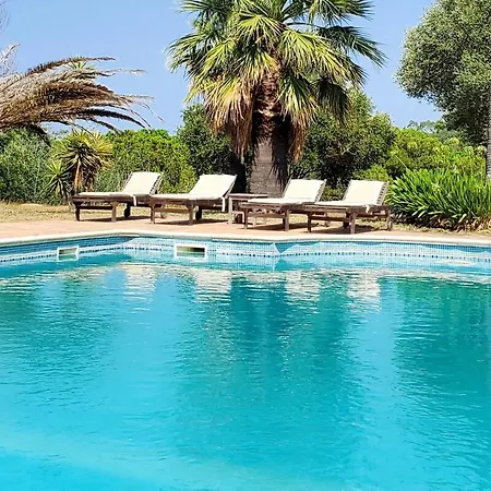 Sea View With Pool In Apartment