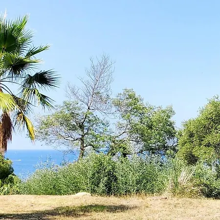 Sea View With Pool In Argeles-sur-Mer
